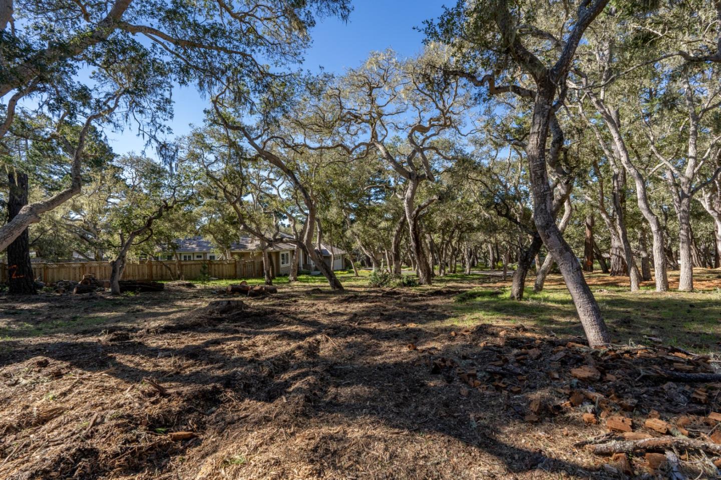 2821 Congress Road Pebble Beach, CA 93953 - Photo 8 of 11 Gallery Image 8