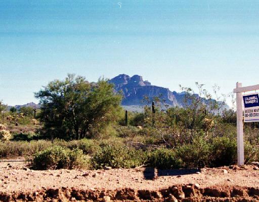 4300 North Cactus Road Apache Junction, AZ 85119 - Photo 1 of 1 Primary Photo