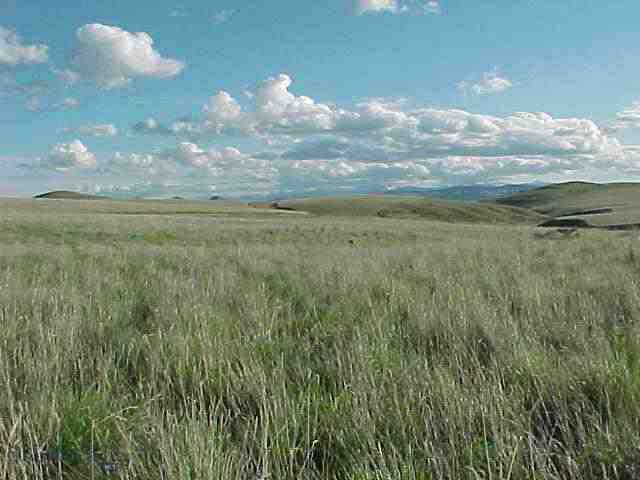 7 B Hilltop Vista Loop Road Three Forks, MT 59752 - Photo 1 of 1 Gallery Image 1