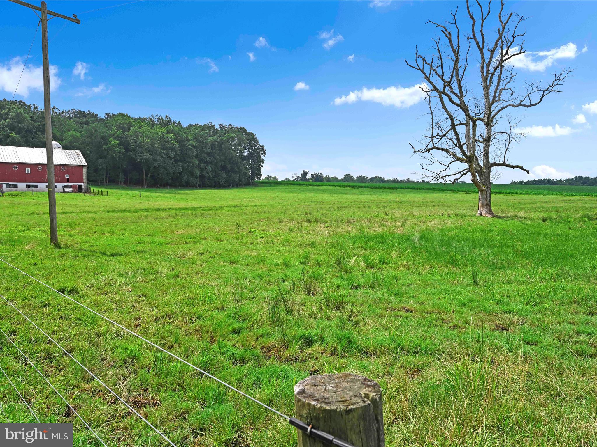 21 Spangsville Road Boyertown, PA 19512 - Photo 30 of 58 Pasture