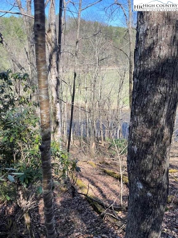 Spruce Lane Crumpler, NC 28617 - Photo 1 of 10 a view of yard