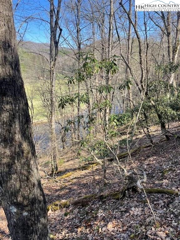 Spruce Lane Crumpler, NC 28617 - Photo 2 of 10 a view of a yard with plants and trees