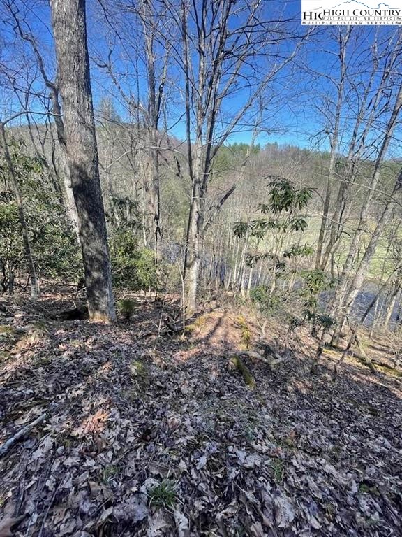 Spruce Lane Crumpler, NC 28617 - Photo 3 of 10 a view of a yard with a tree
