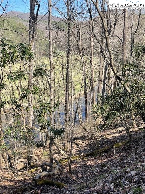 Spruce Lane Crumpler, NC 28617 - Photo 4 of 10 a view of a yard