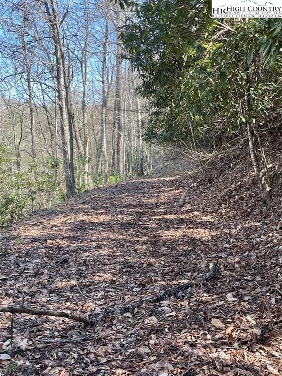 Spruce Lane Crumpler, NC 28617 - Photo 5 of 10 a view of a yard with large trees