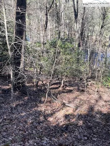 a view of backyard with large trees