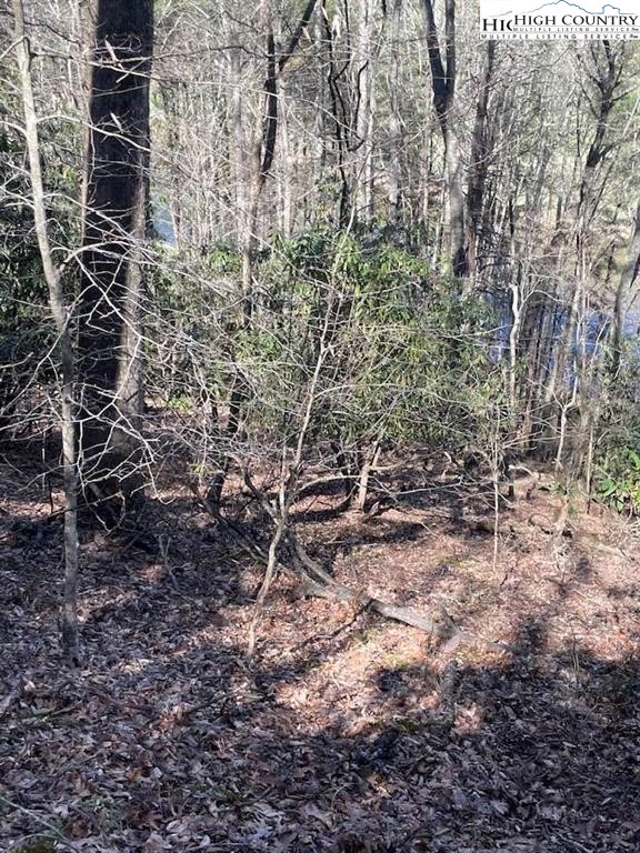 Spruce Lane Crumpler, NC 28617 - Photo 8 of 10 a view of a yard with plants and trees