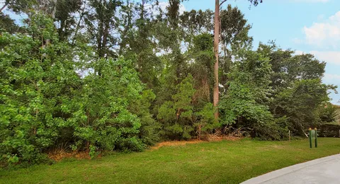 a view of a trees with a yard