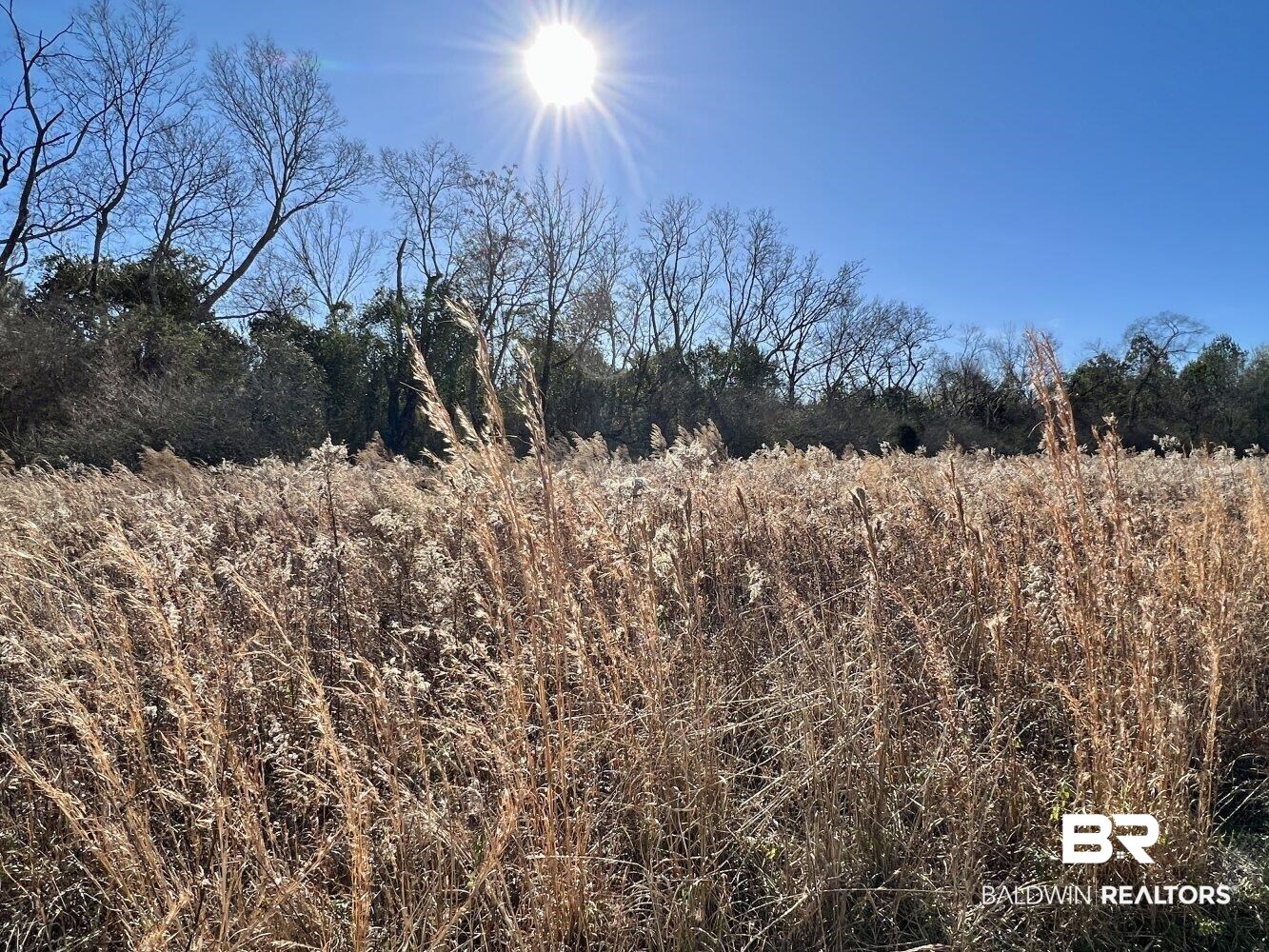 0 Highway 84 Evergreen, AL 36401 - Photo 24 of 50