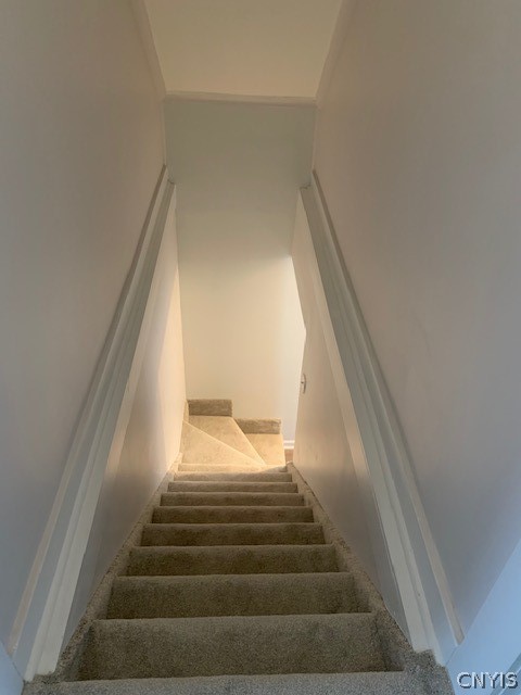 252 Empire Avenue Syracuse, NY 13207 - Photo 17 of 19