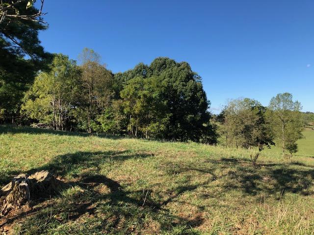129 Whitson Road Gray, TN 37615 - Photo 5 of 7 whit6