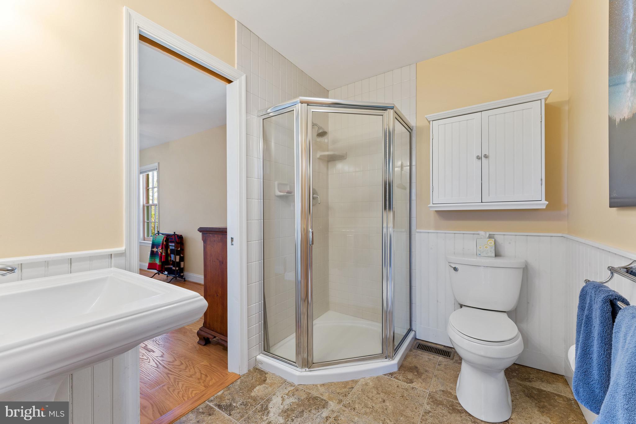 3459 Carrington Road Delaplane, VA 20144 - Photo 62 of 106 a bathroom with a sink a toilet and shower
