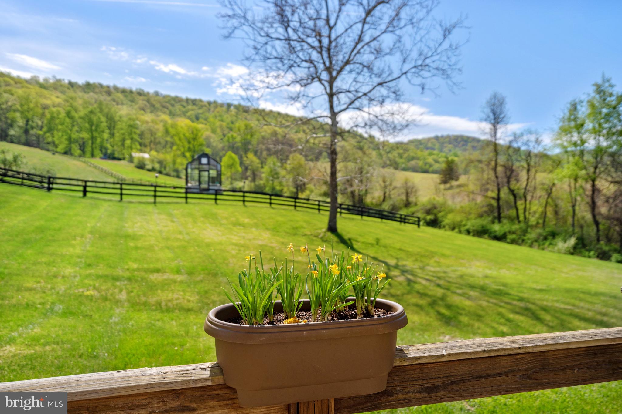 3459 Carrington Road Delaplane, VA 20144 - Photo 68 of 106 a view of a garden with an outdoor seating