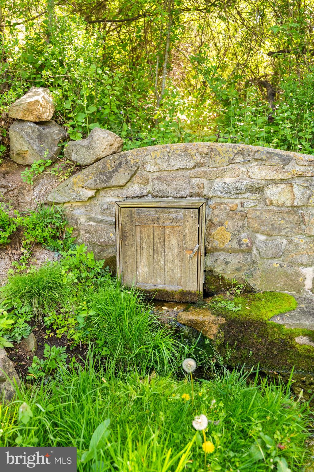 3459 Carrington Road Delaplane, VA 20144 - Photo 82 of 91 Spring House