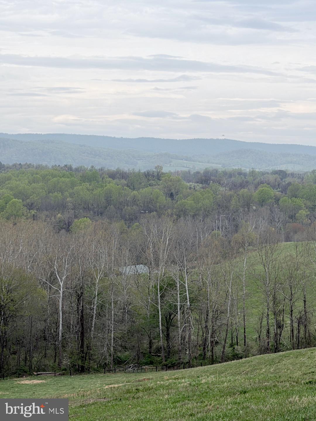 3459 Carrington Road Delaplane, VA 20144 - Photo 87 of 91 Off Mountain Views