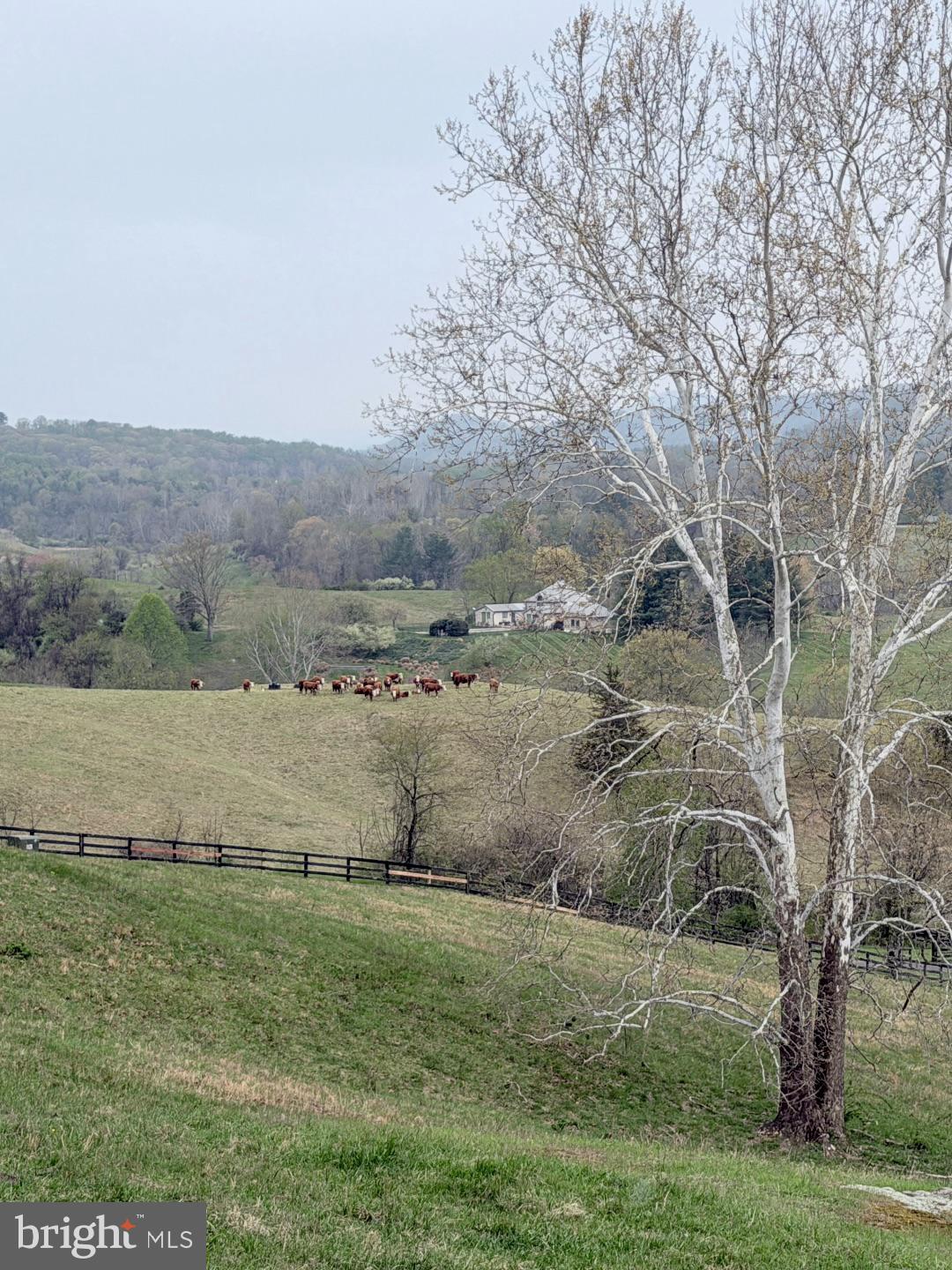 3459 Carrington Road Delaplane, VA 20144 - Photo 88 of 91 Views of Fields