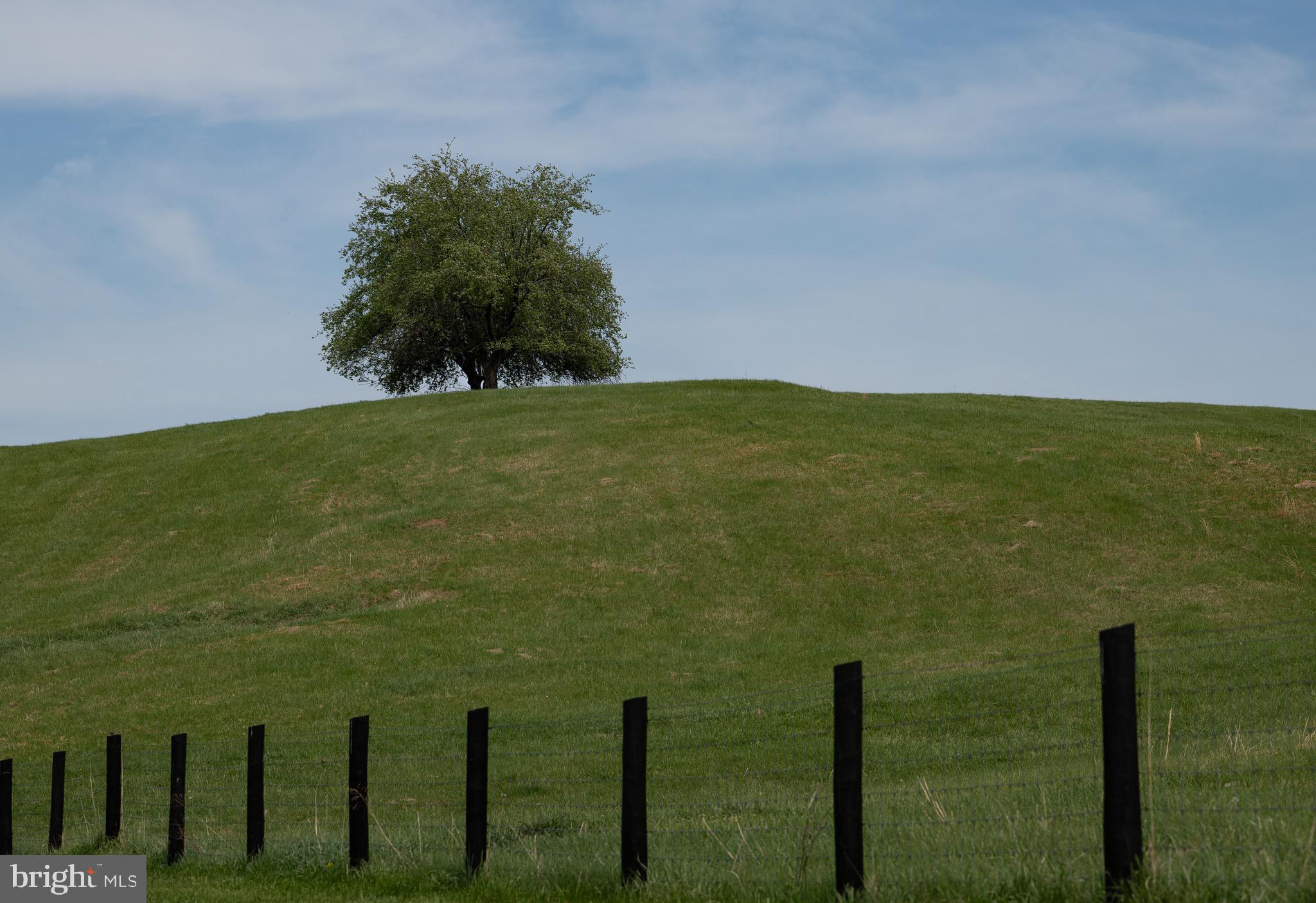 3459 Carrington Road Delaplane, VA 20144 - Photo 90 of 91 Field View