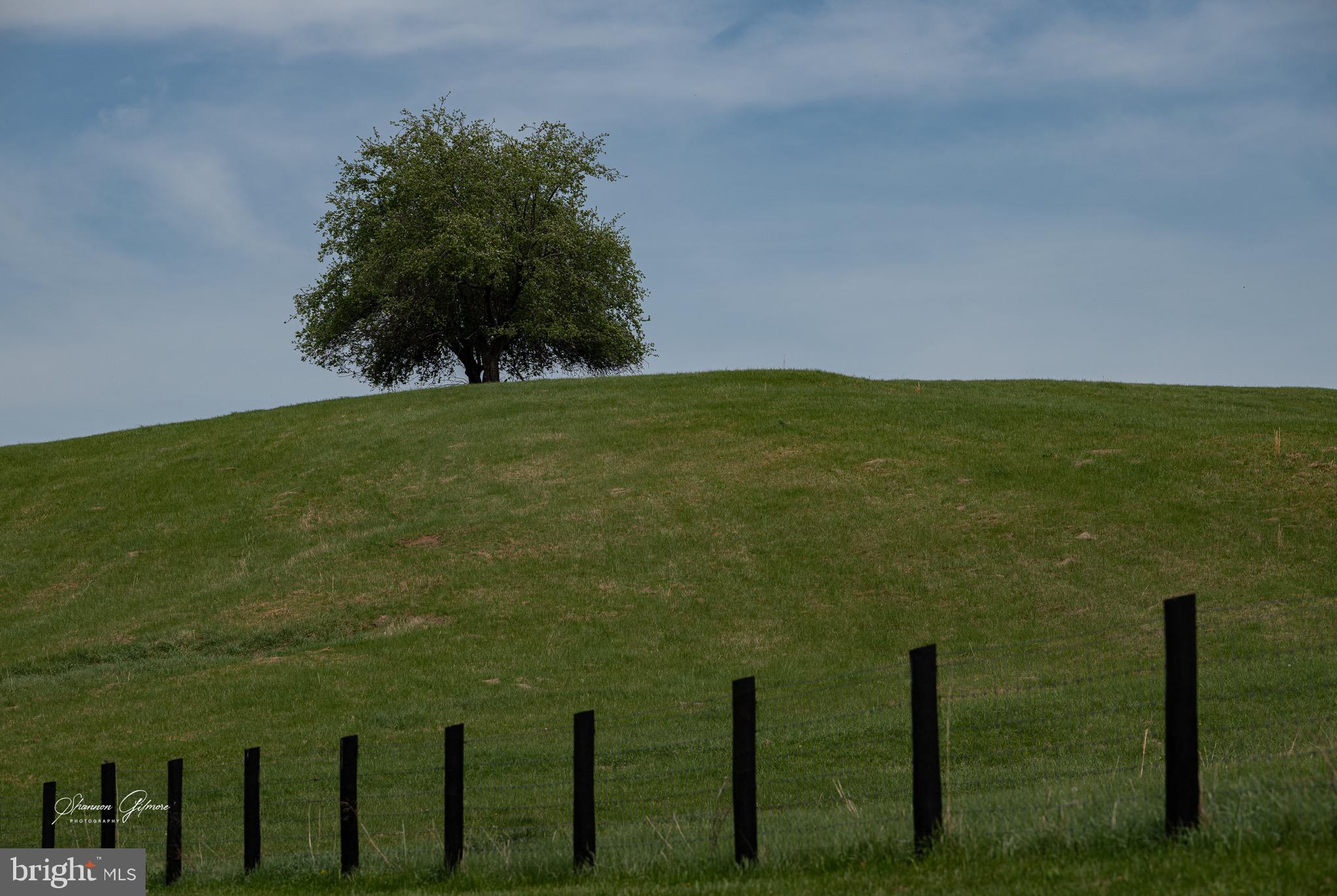 3459 Carrington Road Delaplane, VA 20144 - Photo 91 of 91