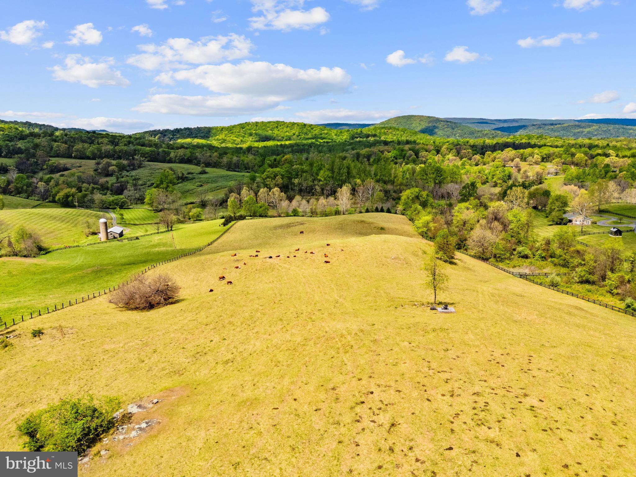 3459 Carrington Road Delaplane, VA 20144 - Photo 100 of 106