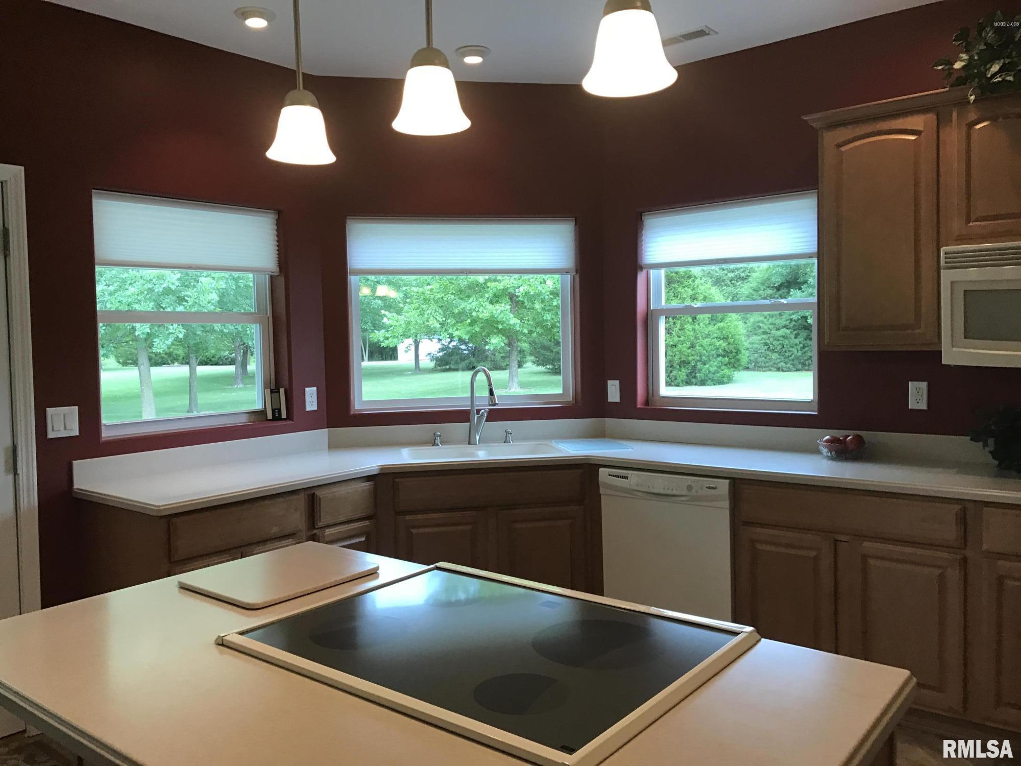 1803 Community Beach Road Odin, IL 62870 - Photo 7 of 27