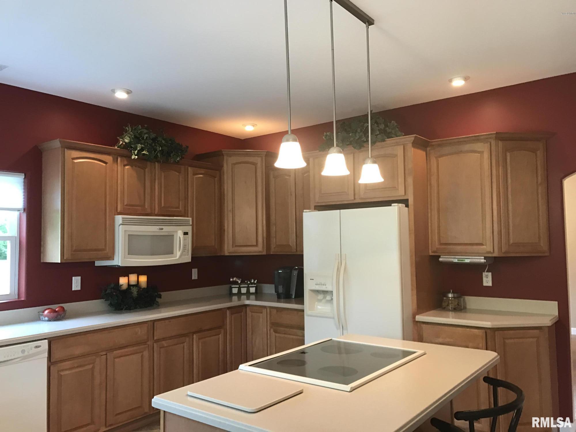 1803 Community Beach Road Odin, IL 62870 - Photo 8 of 27