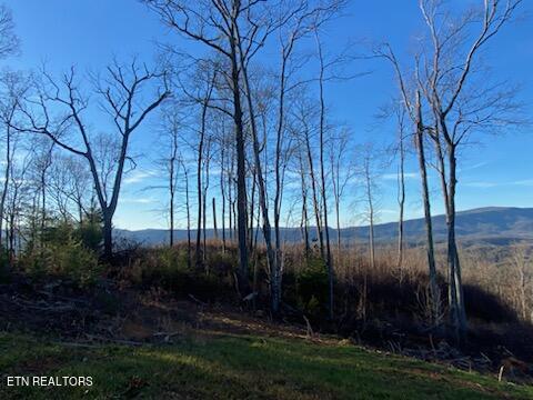 Lot 1 Chestnut Mountain Road Reliance, TN 37369 - Photo 2 of 11 IMG_7926