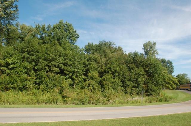 0 Bent Tree Road Sunbury, OH 43074 - Photo 3 of 21