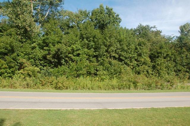 0 Bent Tree Road Sunbury, OH 43074 - Photo 4 of 21