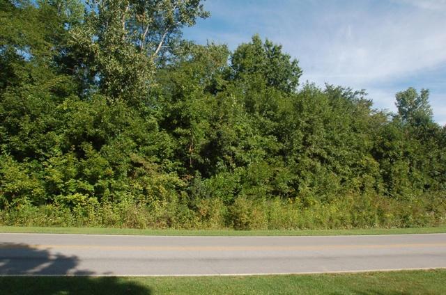 0 Bent Tree Road Sunbury, OH 43074 - Photo 7 of 21