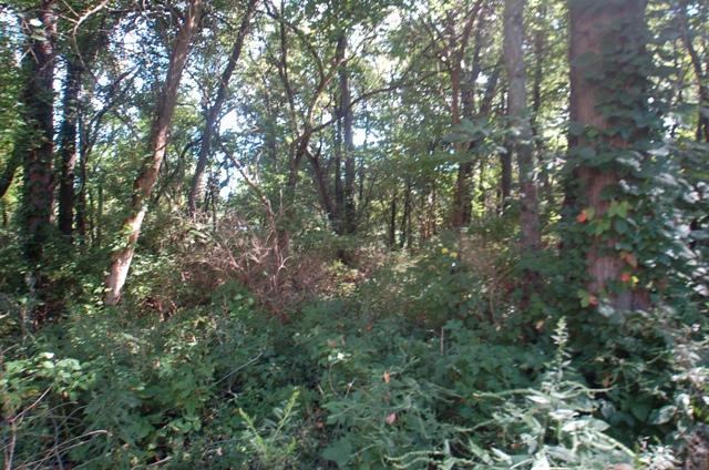 0 Bent Tree Road Sunbury, OH 43074 - Photo 9 of 21