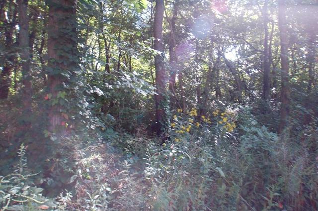 0 Bent Tree Road Sunbury, OH 43074 - Photo 10 of 21