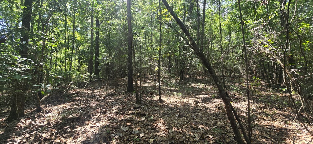 4739 Wallace Buie Road Columbia, AL 36319 - Photo 19 of 54