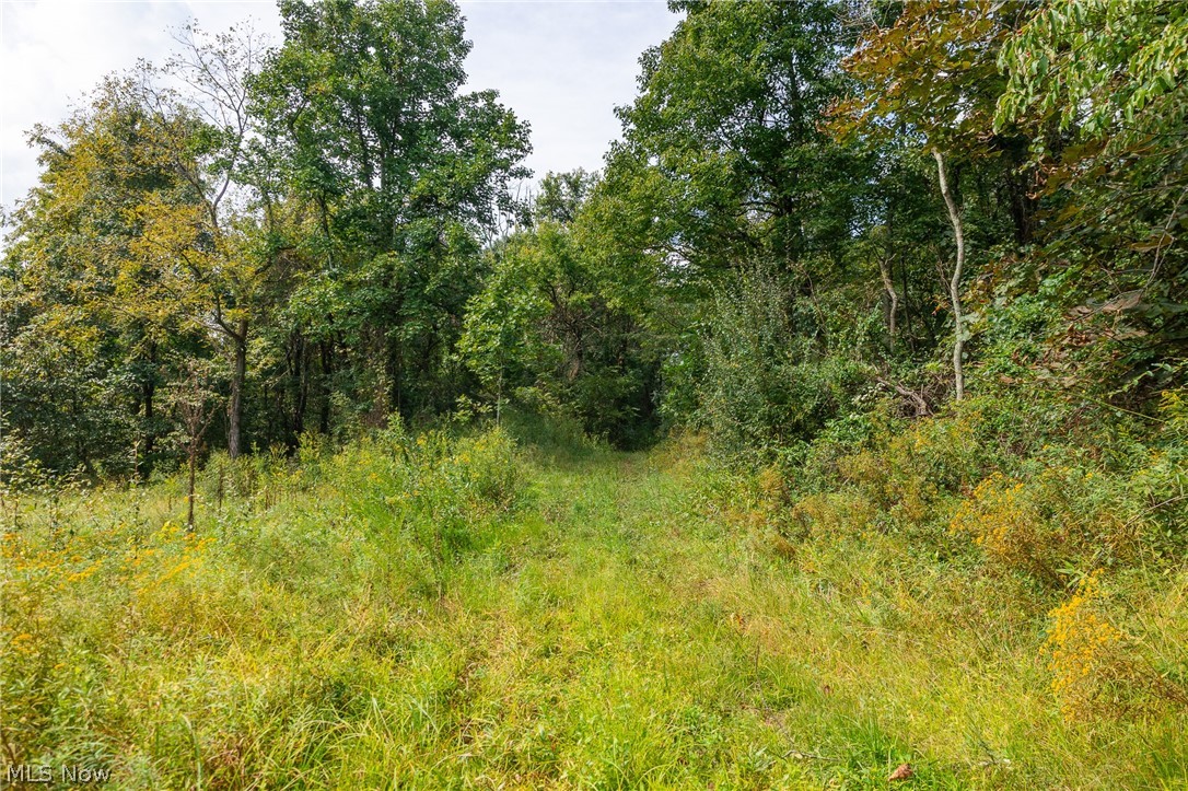 27339 Tabor Ridge Road, Unit 2 Caldwell, OH 43724 - Photo 27 of 50 Gallery Image 27