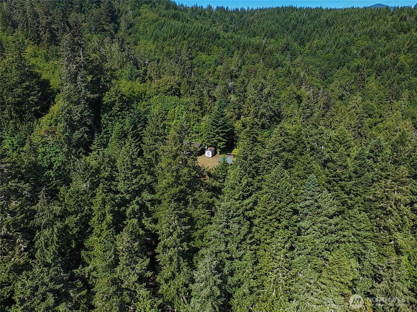 496 Last Camp Road Quilcene, WA 98376 - Photo 25 of 29