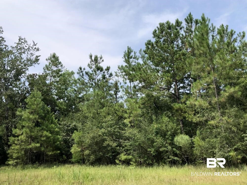 18560 Mason Street Citronelle, AL 36522 - Photo 7 of 45