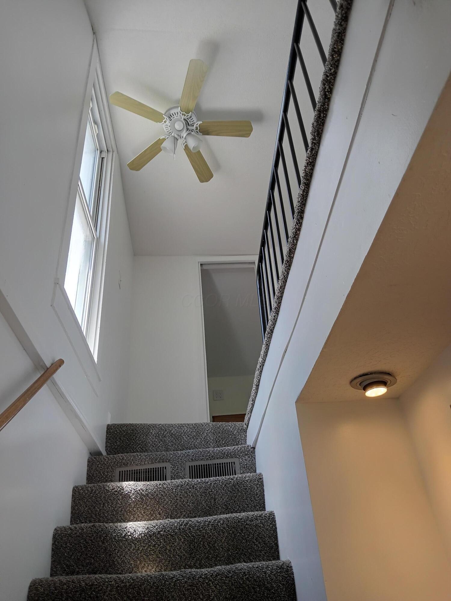 5511 Plum Road Northwest Carroll, OH 43112 - Photo 53 of 53