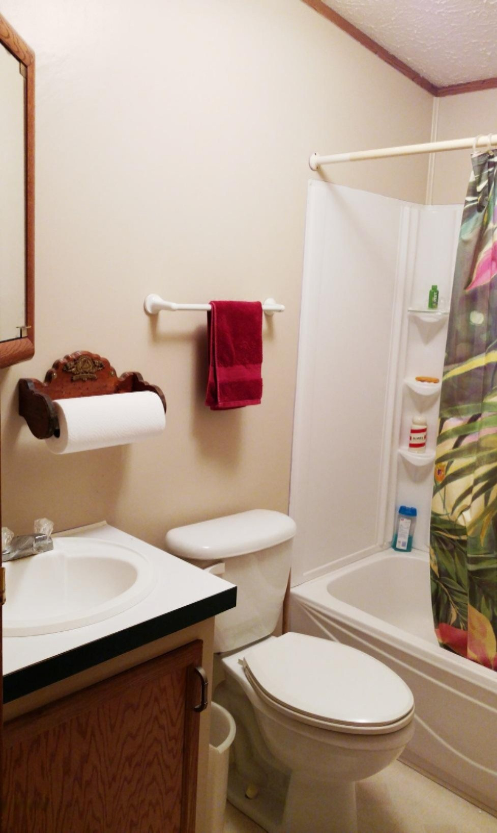 11396 East 48th Street Reed City, MI 49677 - Photo 17 of 19 Main Bath (b)