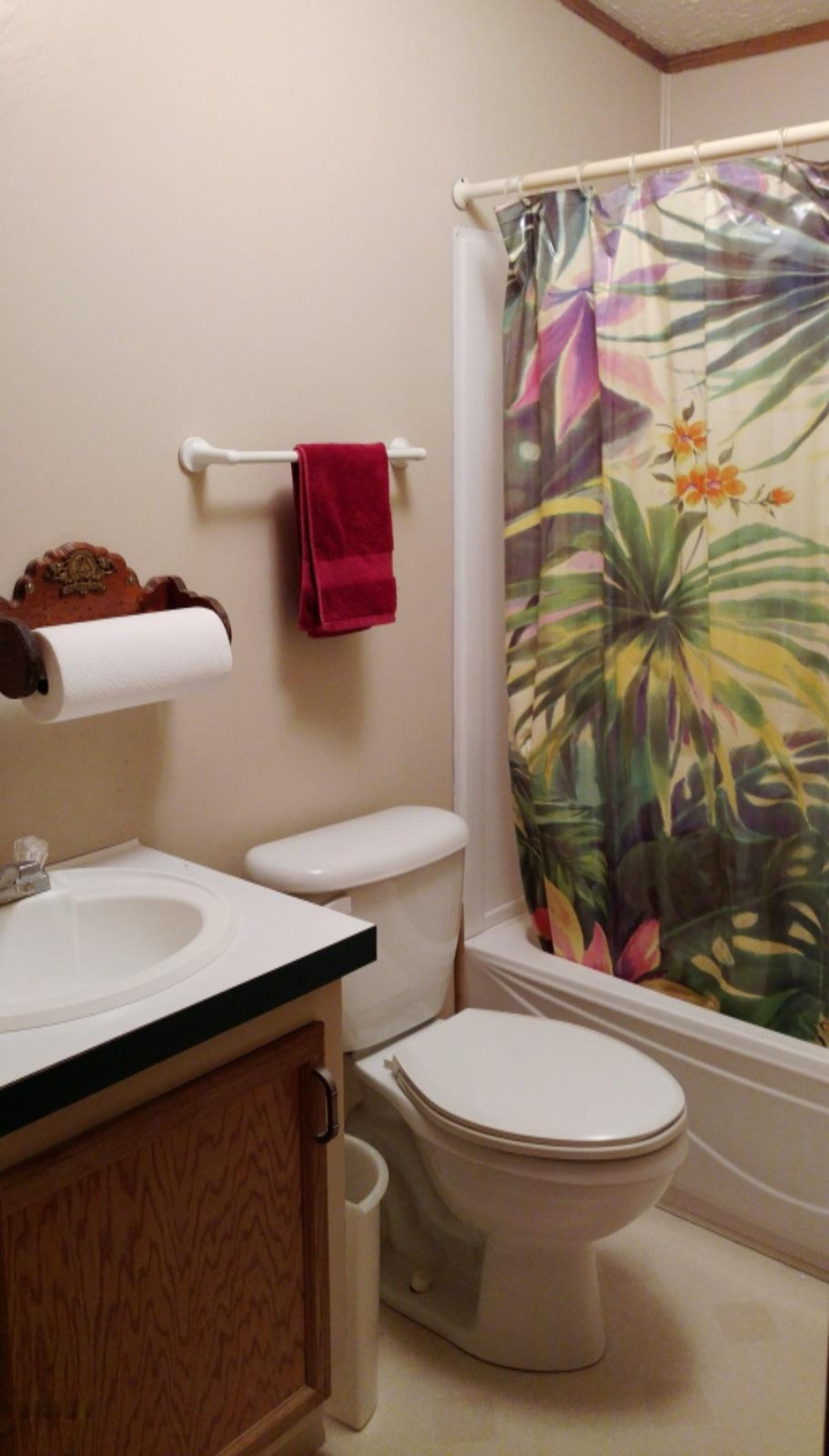 11396 East 48th Street Reed City, MI 49677 - Photo 18 of 19 Main Bath