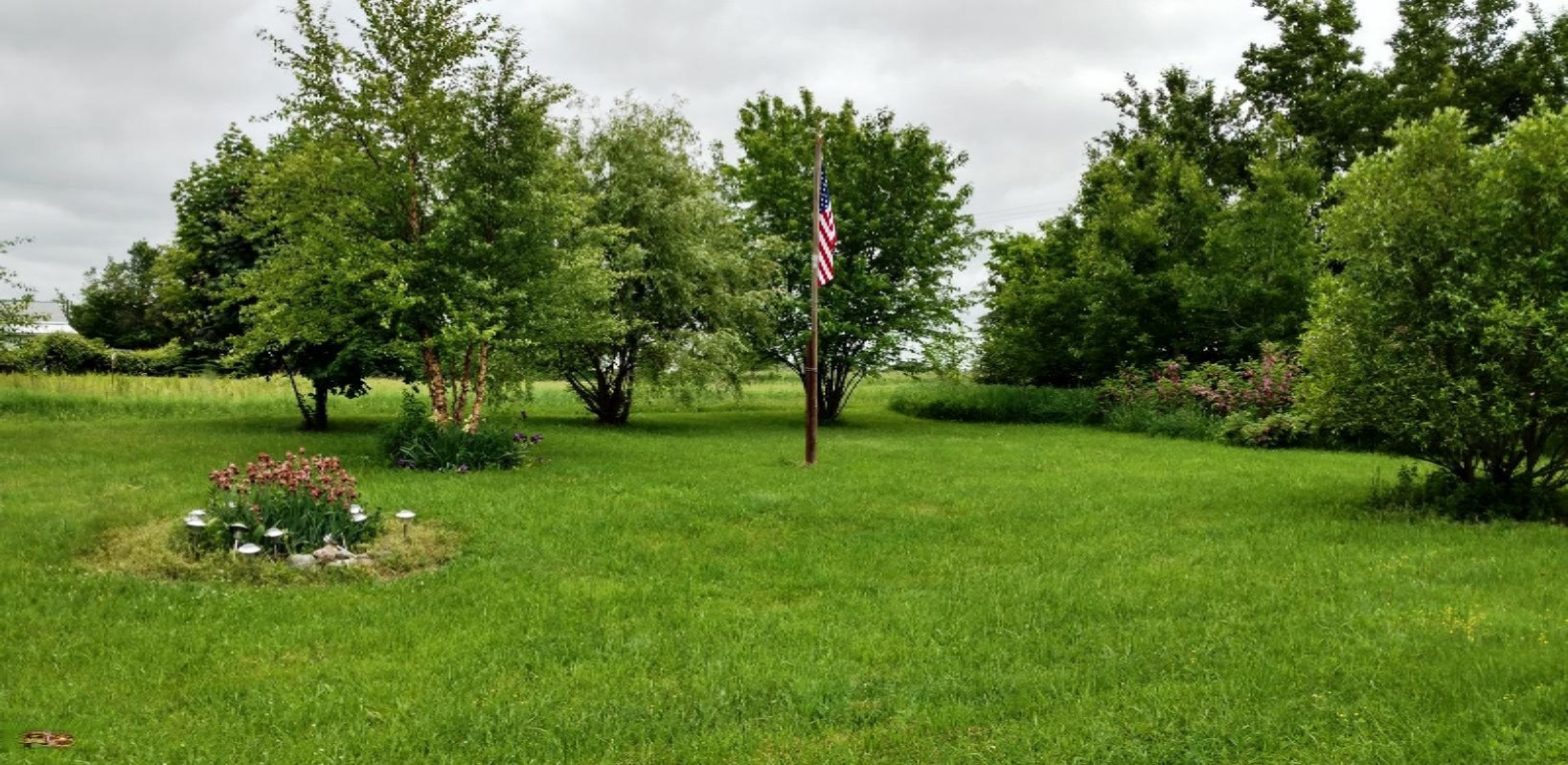 Front Yard