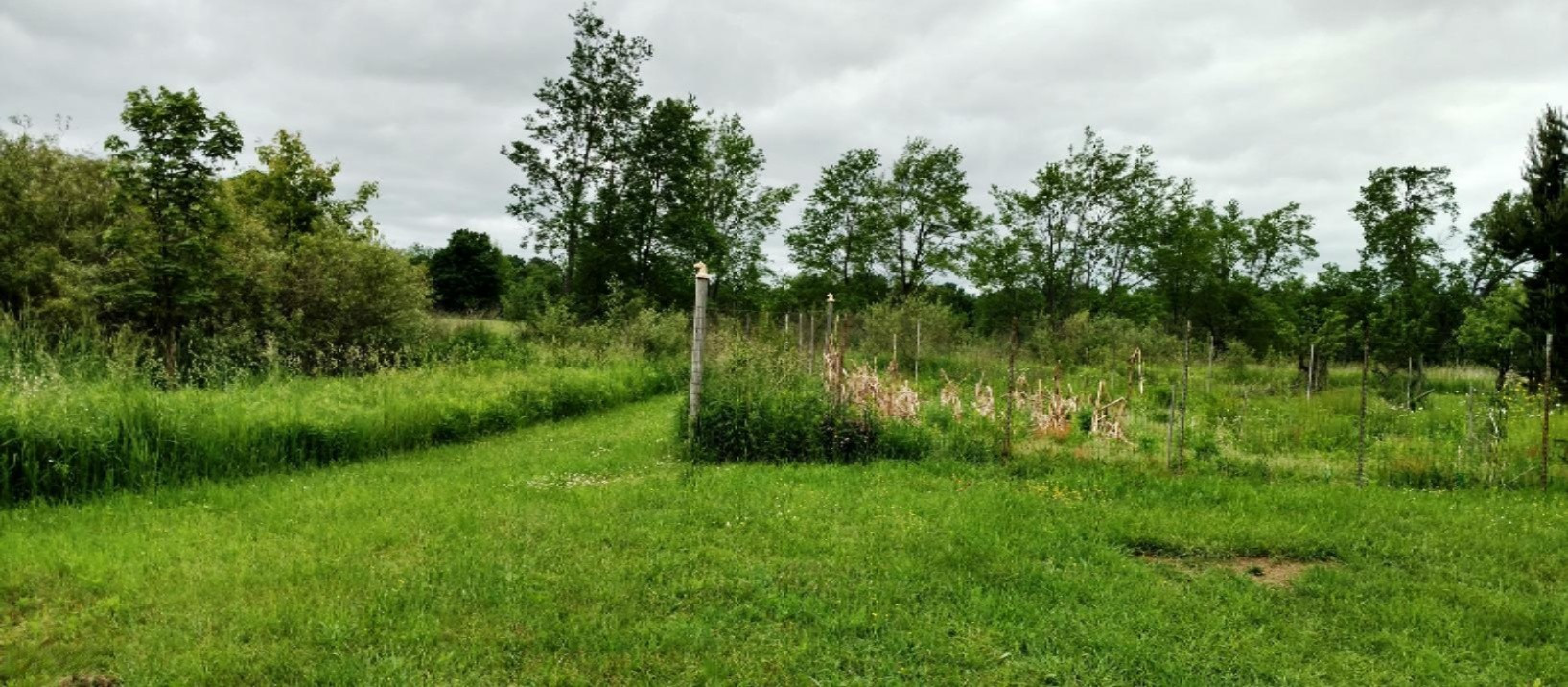 Garden Area