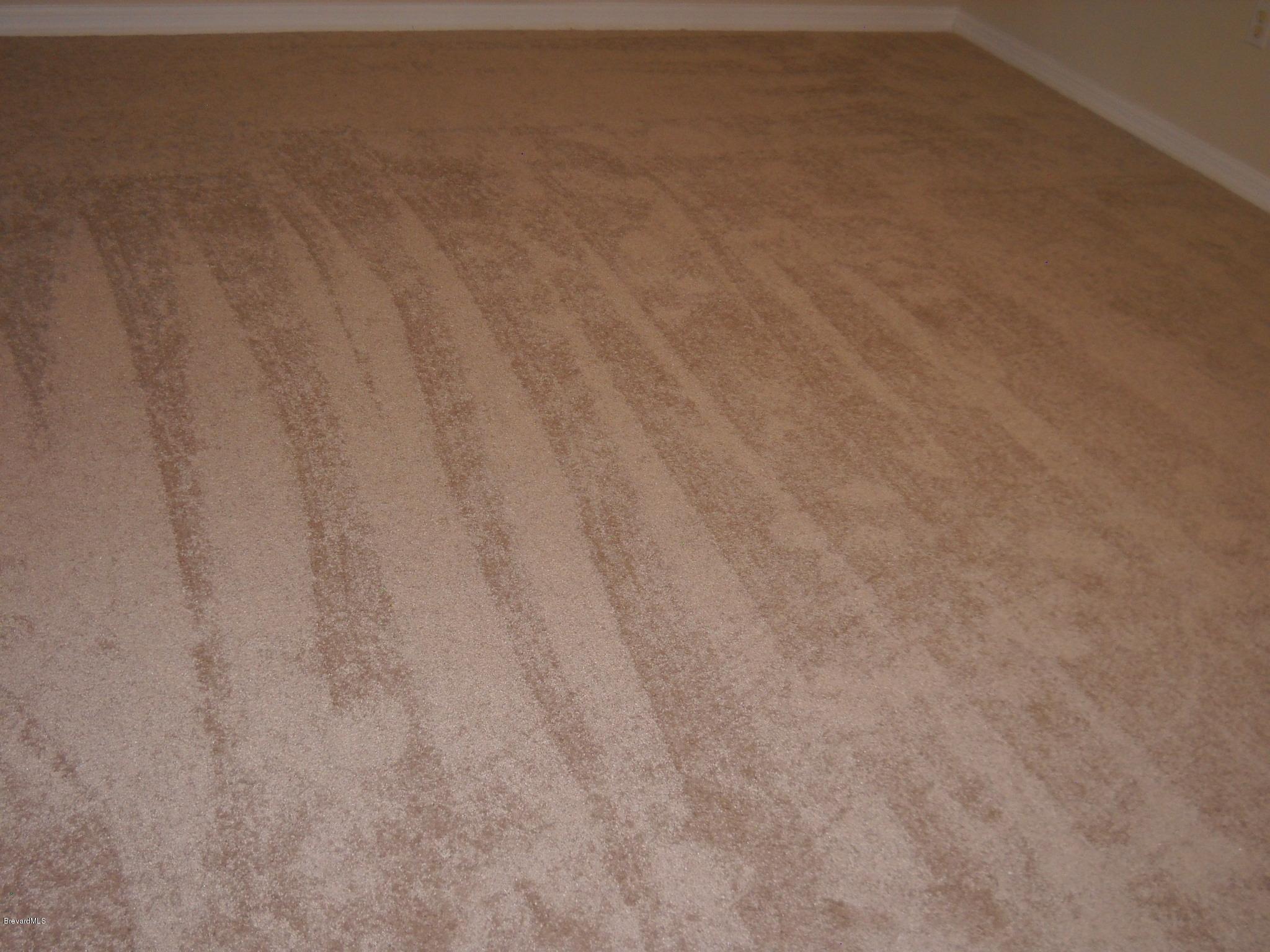 5037 Bridge Road Cocoa, FL 32927 - Photo 12 of 28 Master bedroom new carpet view