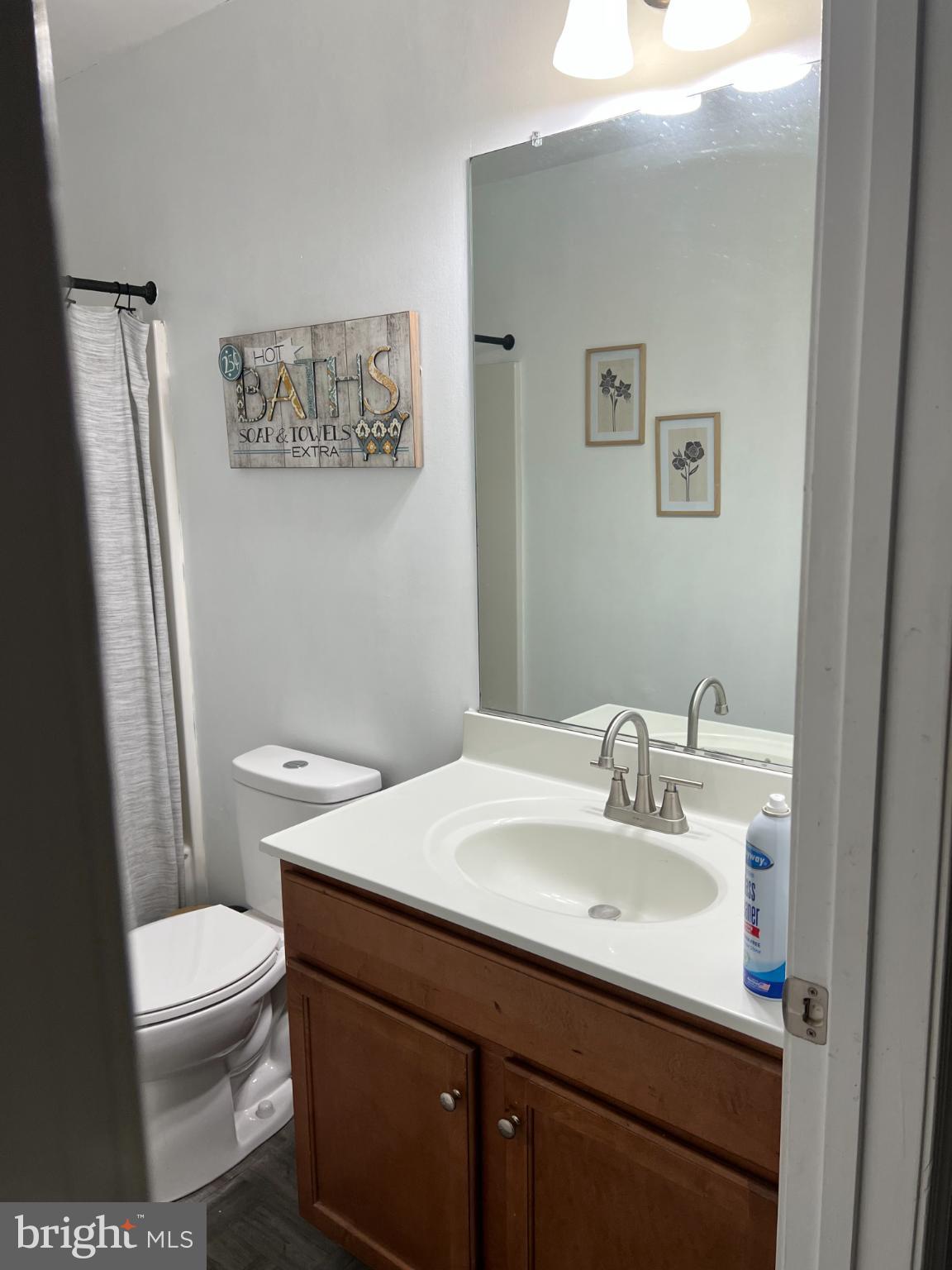 1132 Stallion Street Ranson, WV 25438 - Photo 12 of 13 Modern bathroom with elegant fixtures.