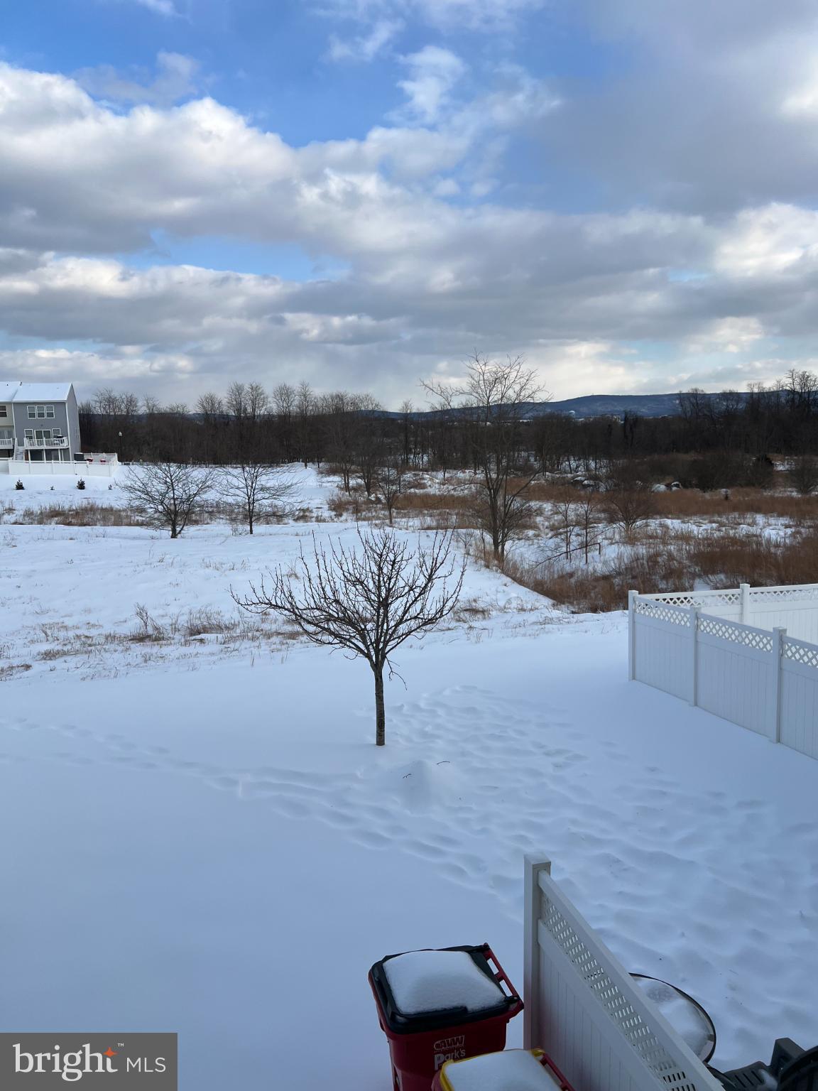 1132 Stallion Street Ranson, WV 25438 - Photo 13 of 13 Winter's serene landscape blanketed in snow.