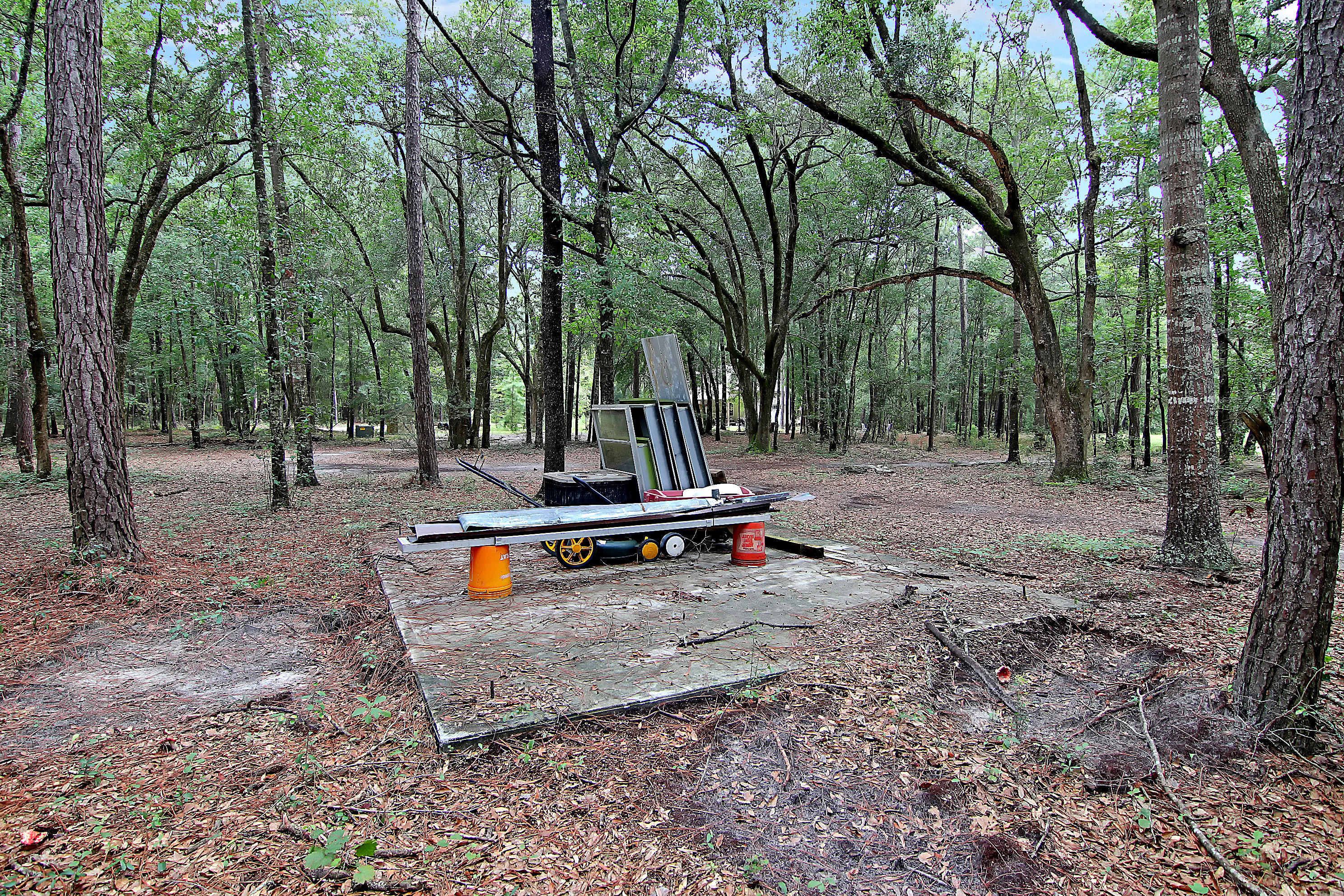 1580 Wire Road Dorchester, SC 29437 - Photo 43 of 62 CREM_1580 Wire Rd_053