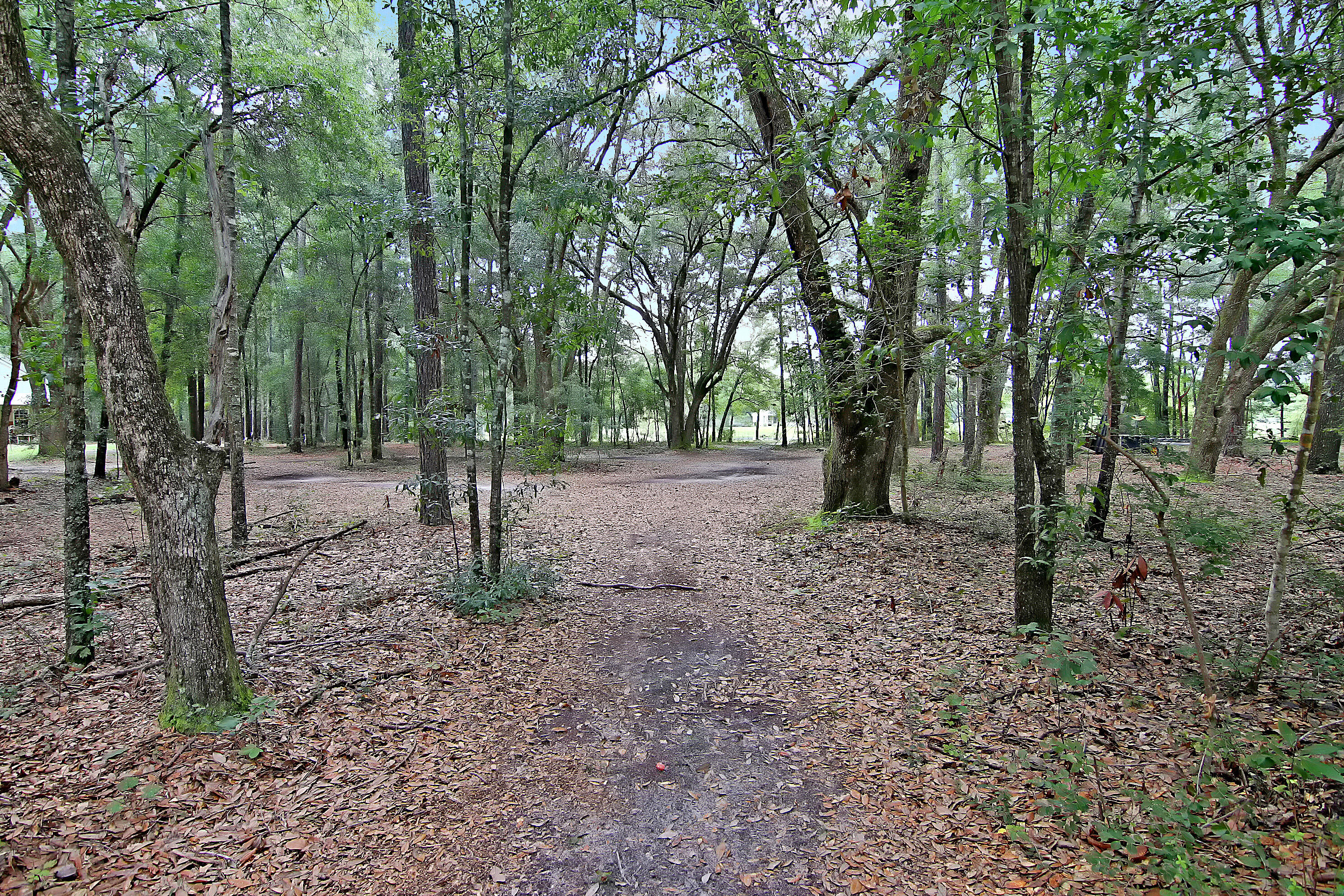 1580 Wire Road Dorchester, SC 29437 - Photo 44 of 62 CREM_1580 Wire Rd_055