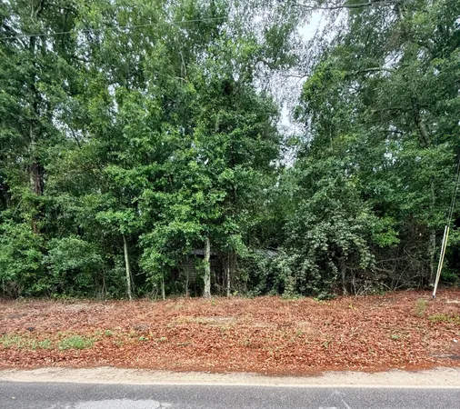 $35,000 | 0 Alma Drive, North, SC 29112