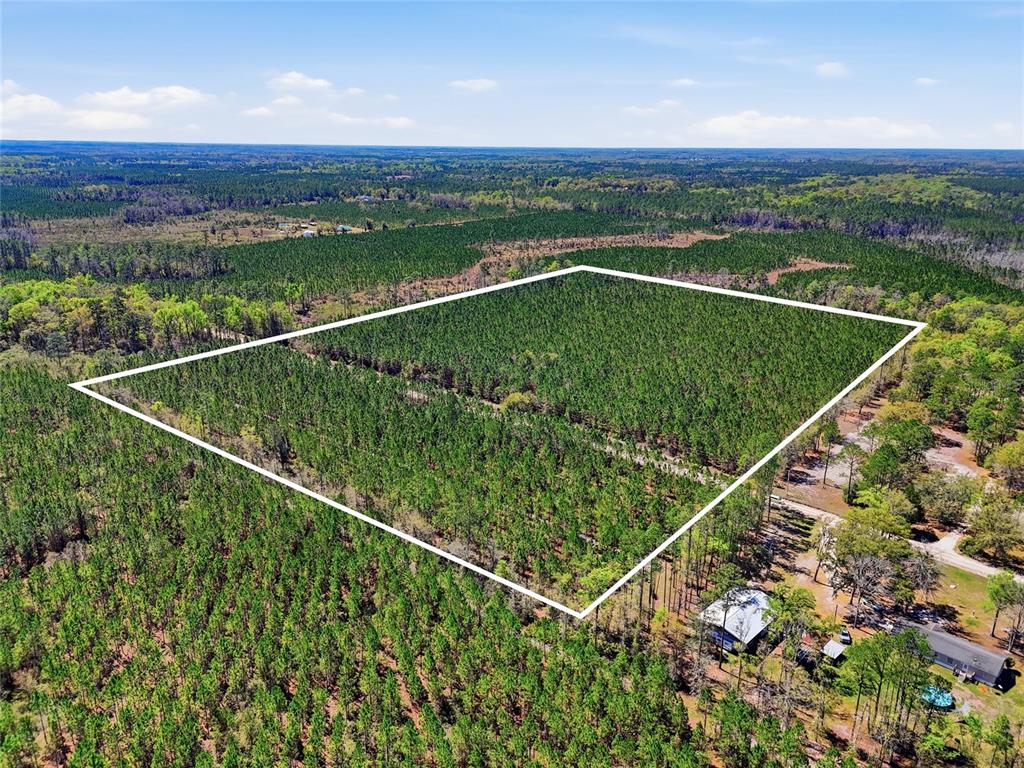 Tbd Southeast Pounds Hammock Road Lake City, FL 32025 - Photo 1 of 10