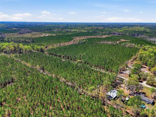 a view of a city with lush green forest
