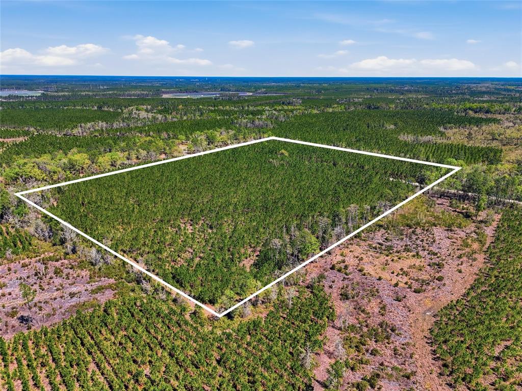 Tbd Southeast Pounds Hammock Road Lake City, FL 32025 - Photo 3 of 10