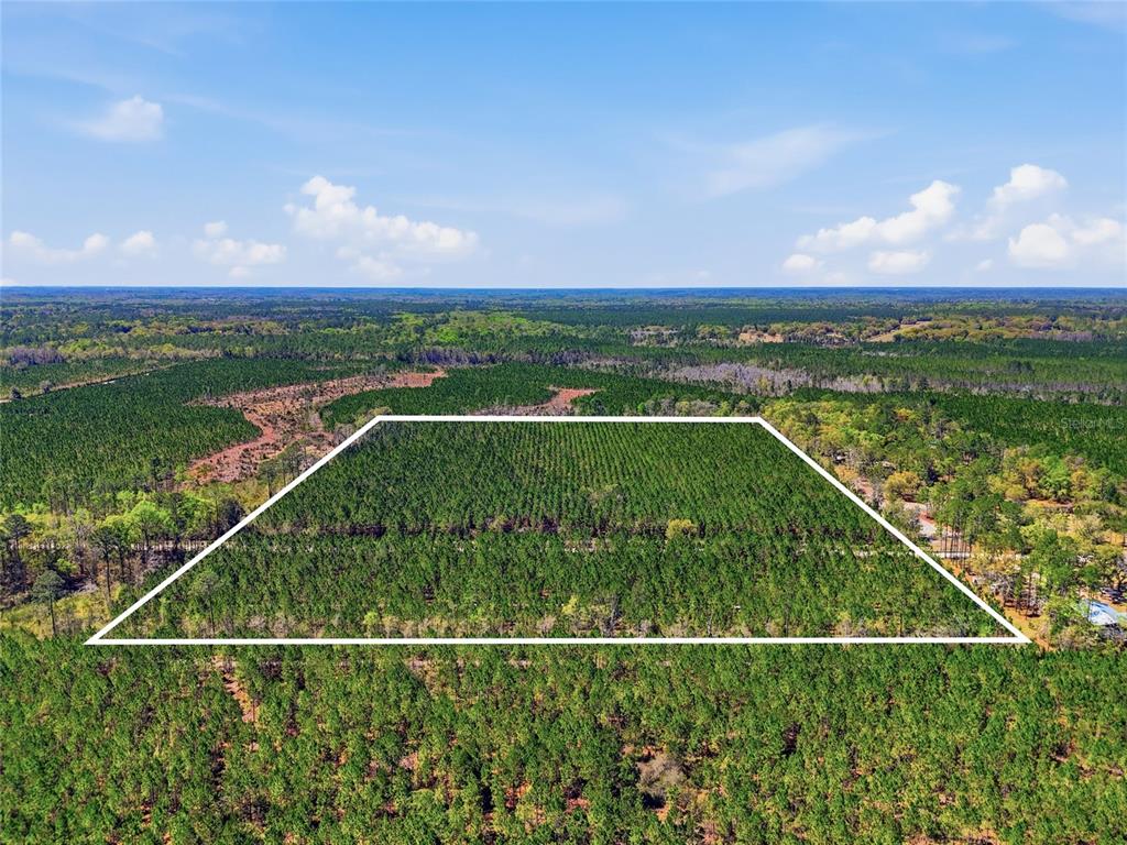 Tbd Southeast Pounds Hammock Road Lake City, FL 32025 - Photo 6 of 10